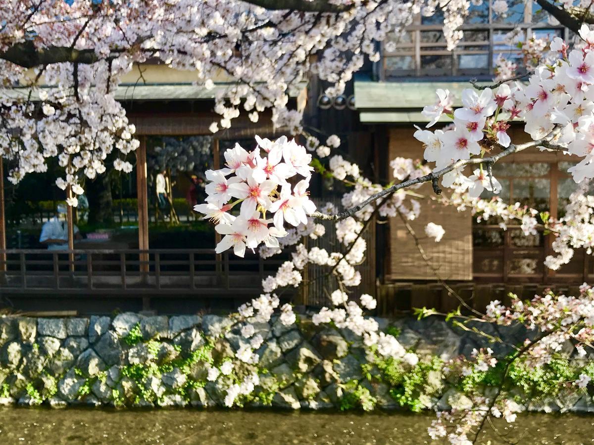 Yukari Kyoto Hotel Buitenkant foto